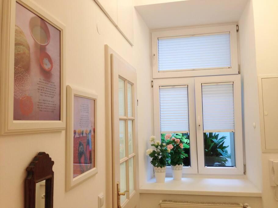 Danube Art Apartments ウィーン エクステリア 写真